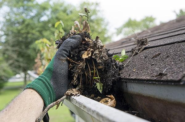 gutter cleaning can be dangerous, especially if you are not experienced in working on ladders or roofs